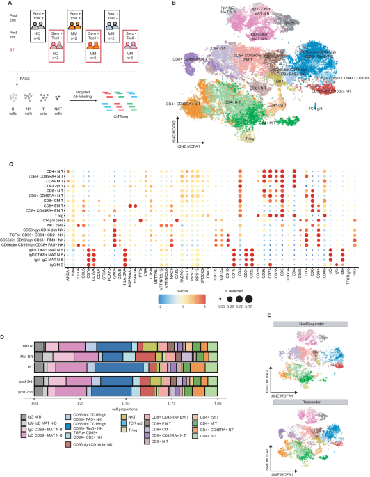 Cytokine-responsive T- and NK-cells portray SARS-CoV-2 vaccine-responders and infection in multiple myeloma patients
