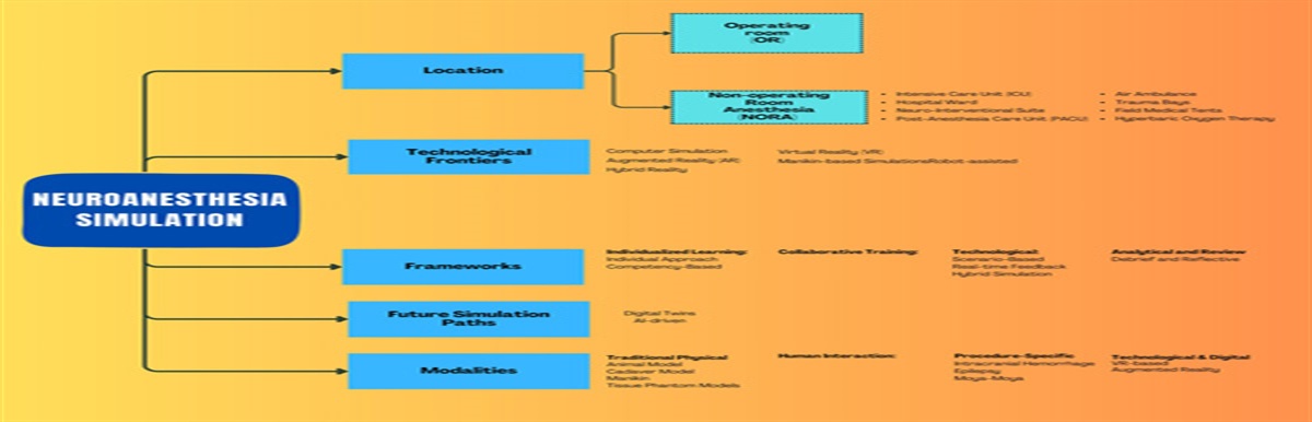 Simulation in Anesthesia for Perioperative Neuroscience: Present and Future