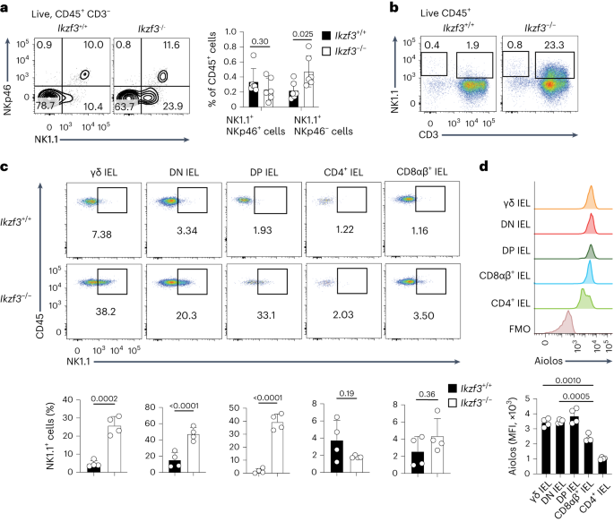 The transcription factor Aiolos restrains the activation of intestinal intraepithelial lymphocytes