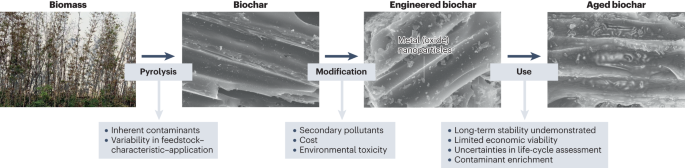 Rethinking biochar: black gold or not?