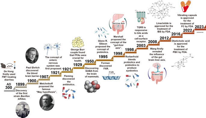 Gut liver brain axis in diseases: the implications for therapeutic interventions
