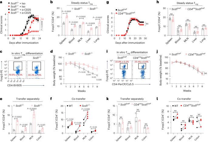 Oleic acid availability impacts thymocyte preprogramming and subsequent peripheral Treg cell differentiation