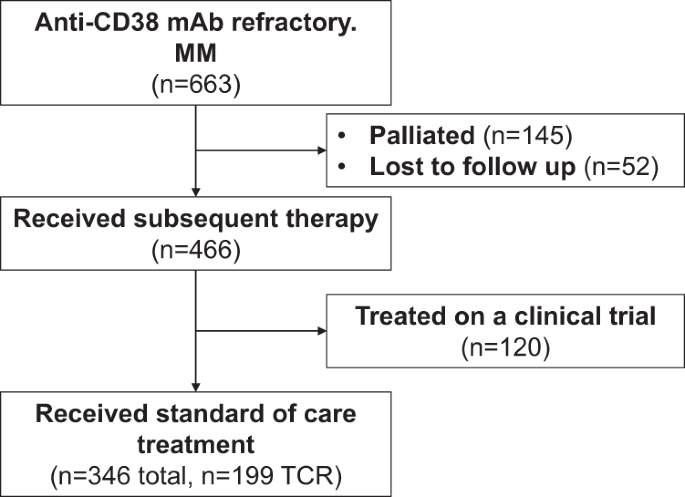 Real world data on outcomes of anti-CD38 antibody treated, including triple class refractory, patients with multiple myeloma: a multi-institutional report from the Canadian Myeloma Research Group (CMRG) Database