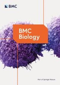 DNA polymerases in precise and predictable CRISPR/Cas9-mediated chromosomal rearrangements