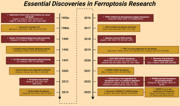 Targeting epigenetic and posttranslational modifications regulating ferroptosis for the treatment of diseases