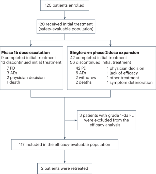 Mosunetuzumab with polatuzumab vedotin in relapsed or refractory aggressive large B cell lymphoma: a phase 1b/2 trial