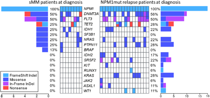 Myeloid neoplasm occurrence during stable molecular remission of NPM1-mutated AML: are we facing secondary disease or AML relapse?