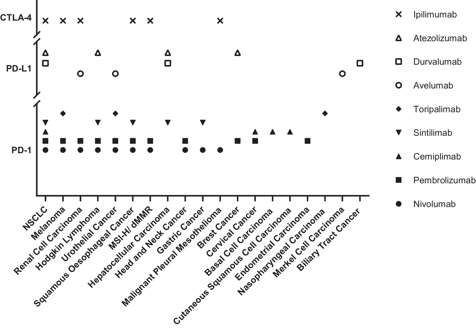 ImmunoPET provides a novel way to visualize the CD103+ tissue-resident memory T cell to predict the response of immune checkpoint inhibitors