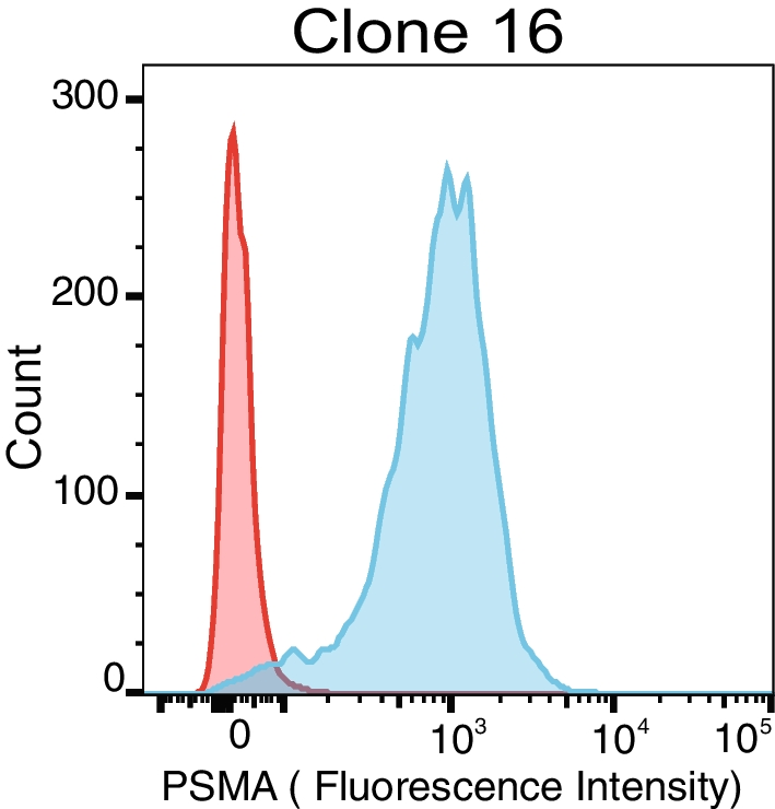 PSMA imaging as a non-invasive tool to monitor inducible gene expression in vivo