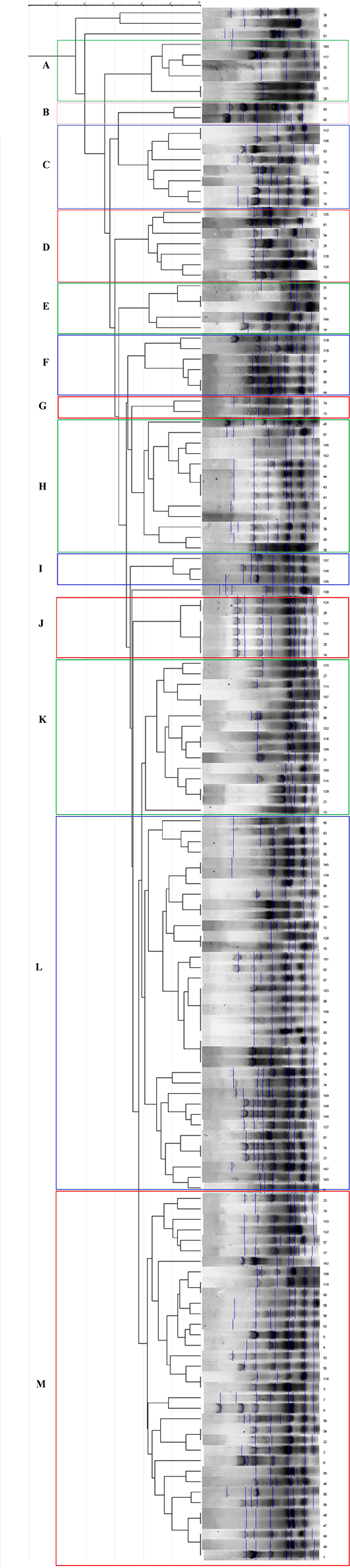 Genomic diversity of β-lactamase producing Pseudomonas aeruginosa in Iran; the impact of global high-risk clones
