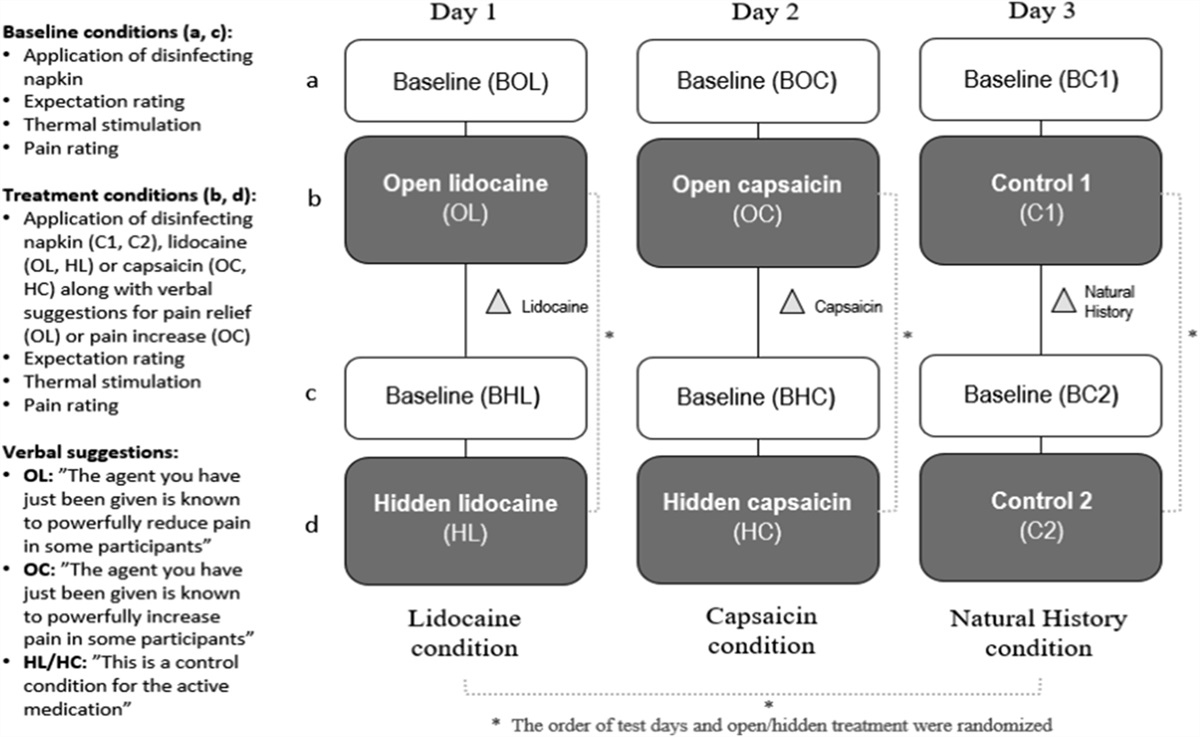 Placebo analgesia and nocebo hyperalgesia in patients with Alzheimer disease and healthy participants