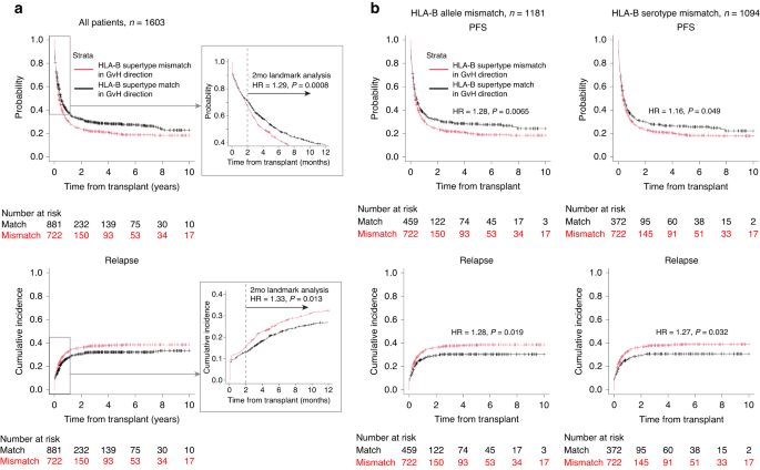 Prognostic impact of HLA supertype mismatch in single-unit cord blood transplantation