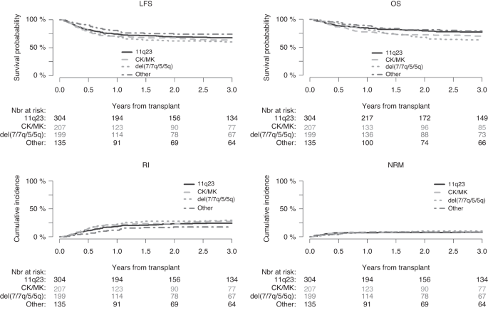Cytogenetic abnormalities predict survival after allogeneic hematopoietic stem cell transplantation for pediatric acute myeloid leukemia: a PDWP/EBMT study