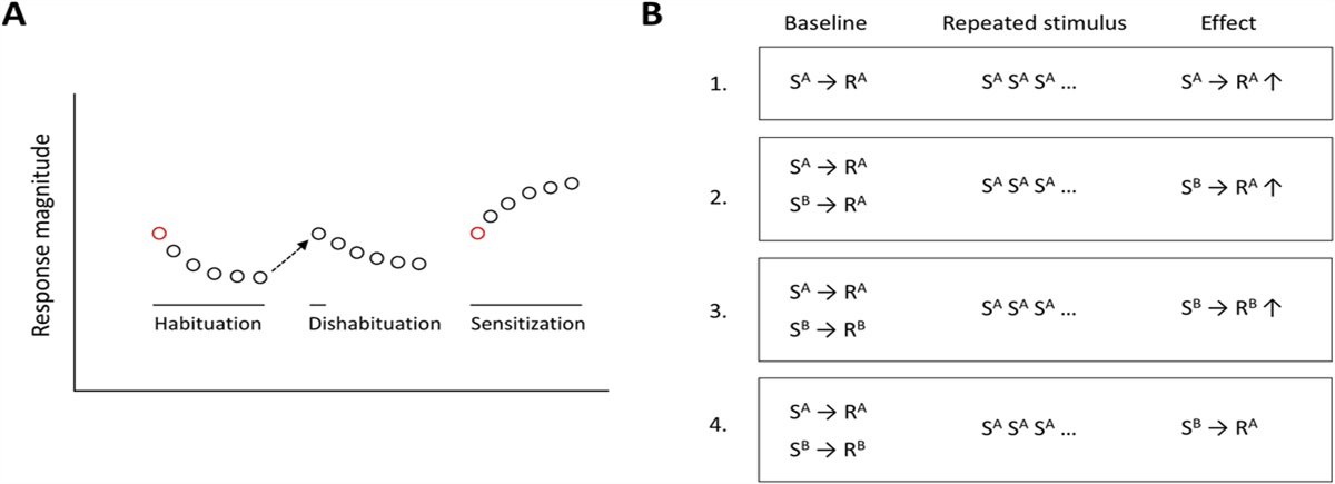 Reconceptualizing sensitization in pain: back to basics
