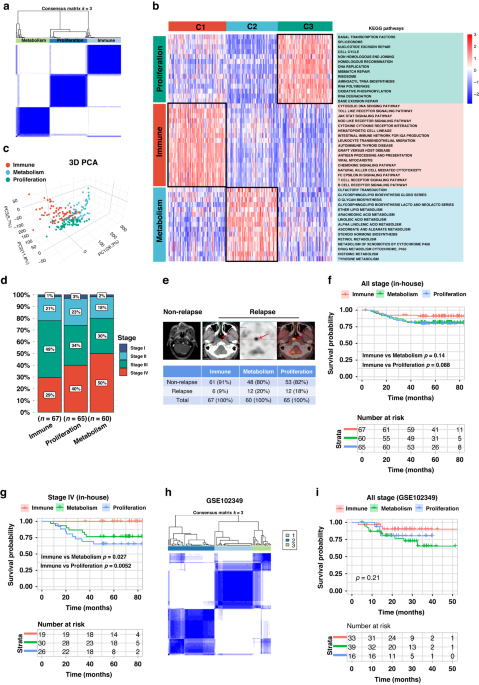 Identification of novel molecular subtypes to improve the classification framework of nasopharyngeal carcinoma