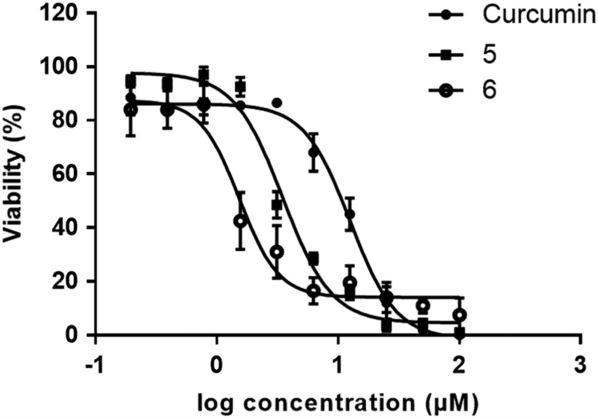 Cytotoxicity of dihydropyridone and dihydropyrimidone curcumin derivatives against colon (HCT-116) and breast (MDA-MB-231) cancer cell lines
