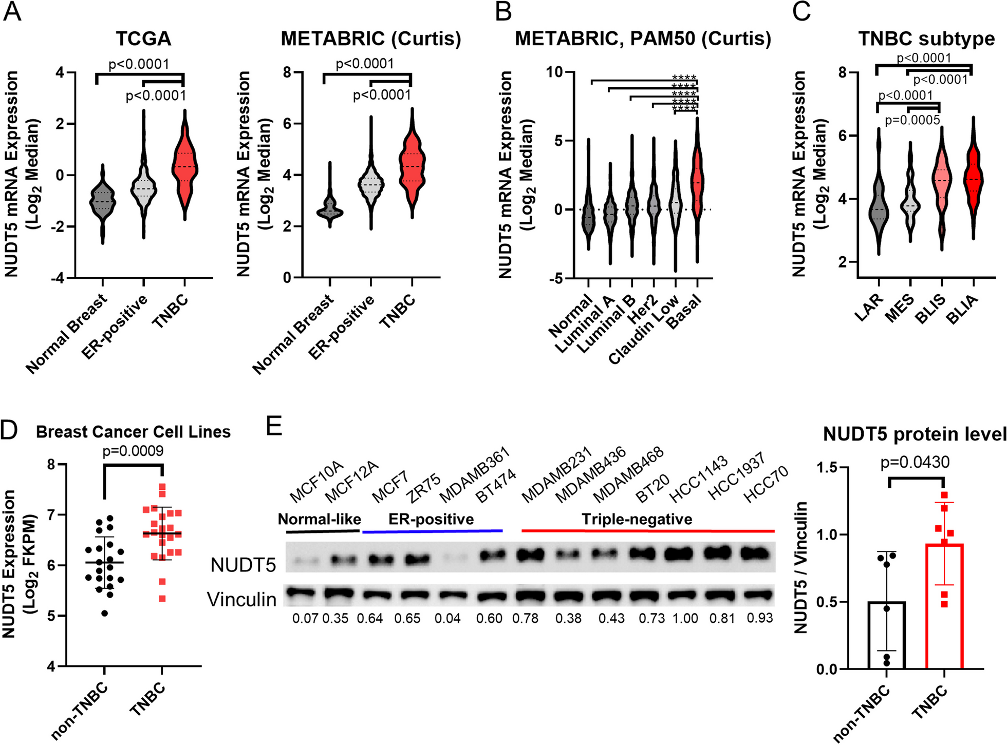 The novel phosphatase NUDT5 is a critical regulator of triple-negative breast cancer growth