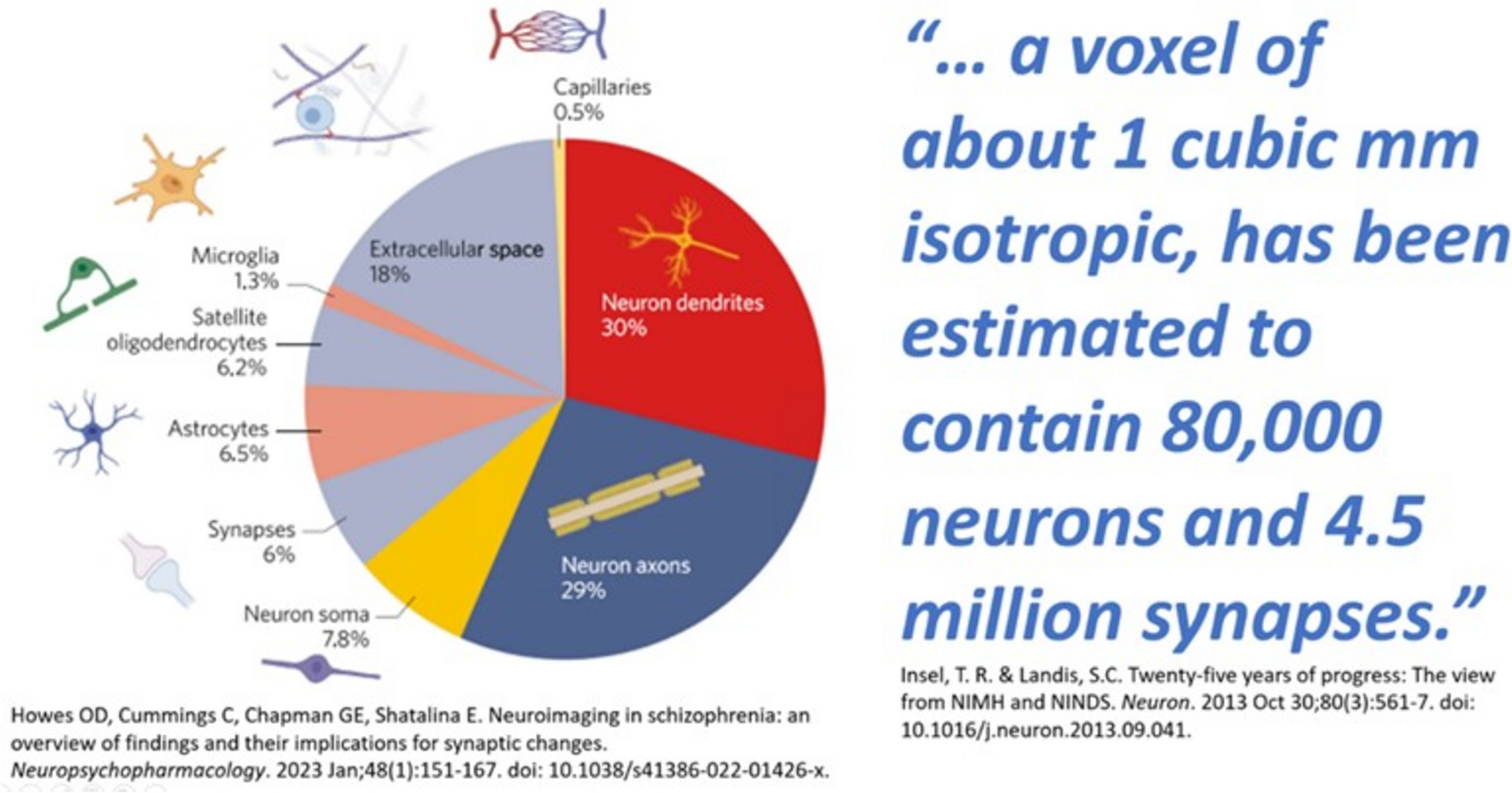 A Practical Approach to Incorporating Quantitative Neuroimaging Findings into Pediatric Neuropsychological Test Interpretation