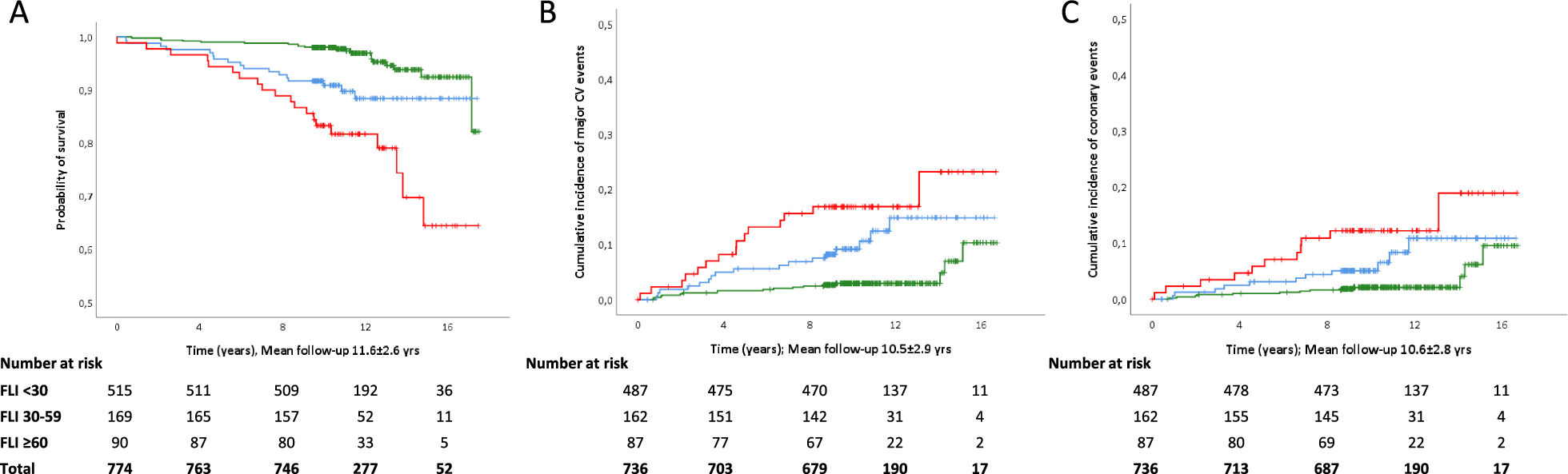 Fatty liver index is an independent risk factor for all-cause mortality and major cardiovascular events in type 1 diabetes: an 11-year observational study
