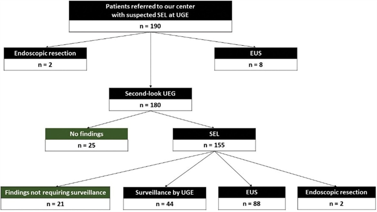 Second-look upper endoscopy as the initial approach to subepithelial lesions: a reassuring and reliable strategy