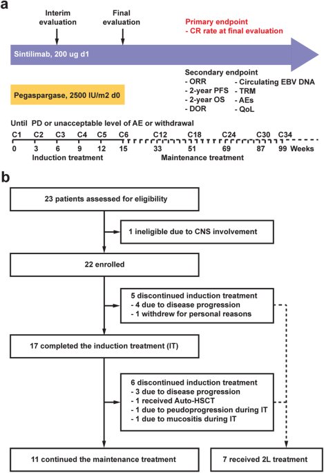 Anti-metabolic agent pegaspargase plus PD-1 antibody sintilimab for first-line treatment in advanced natural killer T cell lymphoma