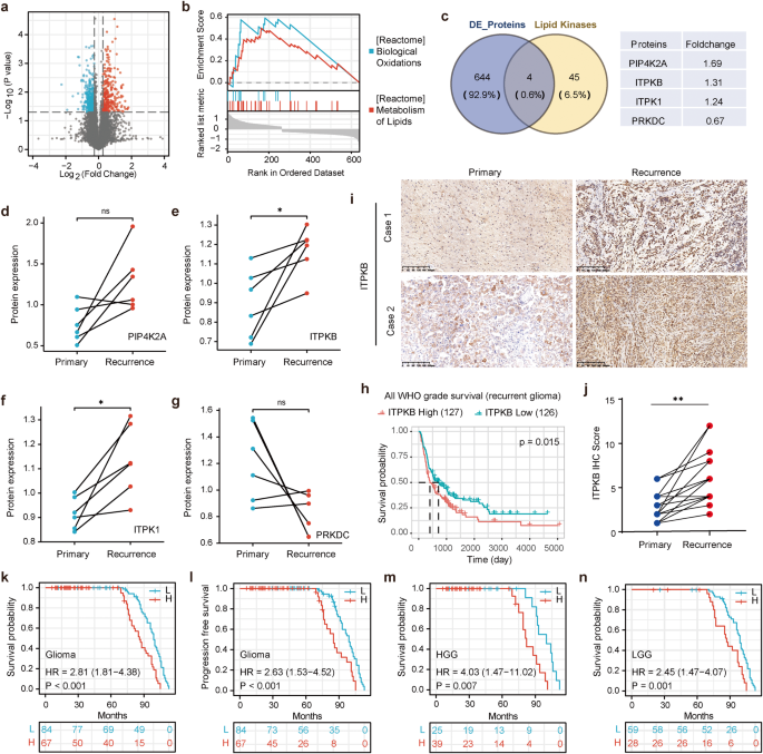 Suppression of ITPKB degradation by Trim25 confers TMZ resistance in glioblastoma through ROS homeostasis