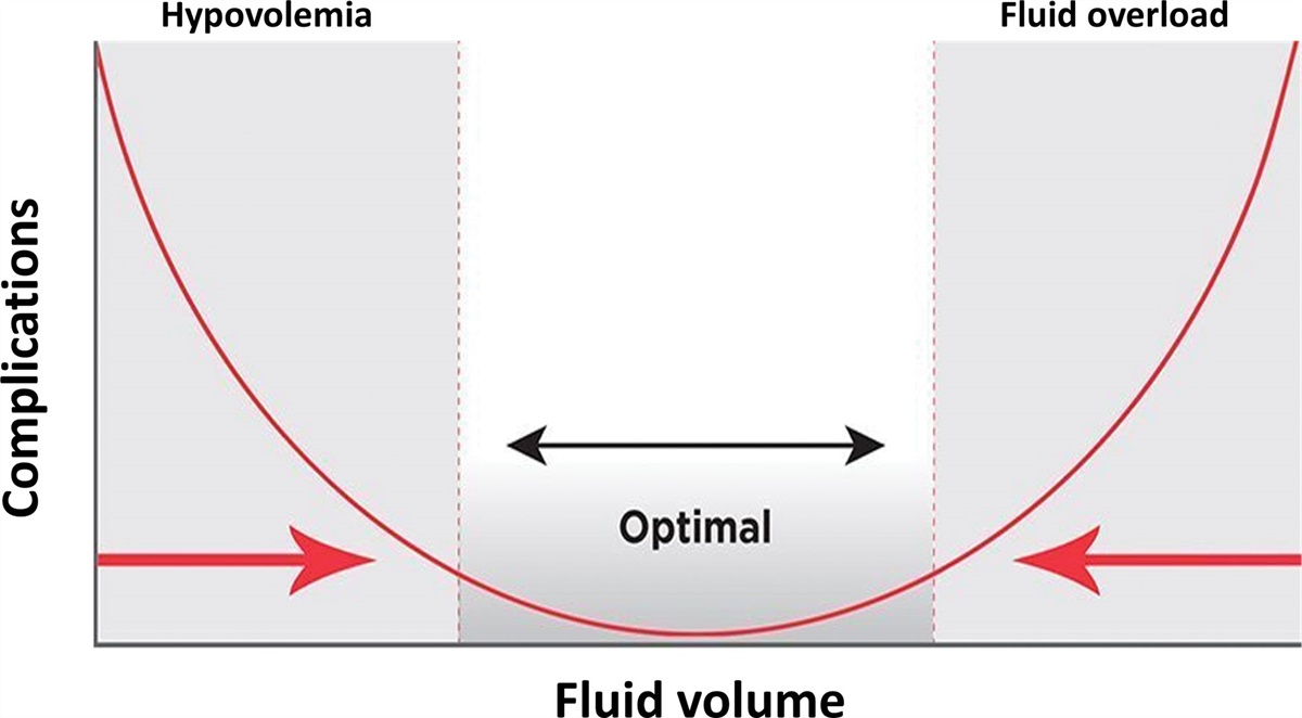 Dynamic monitoring tools for patients admitted to the emergency department with circulatory failure: narrative review with panel-based recommendations