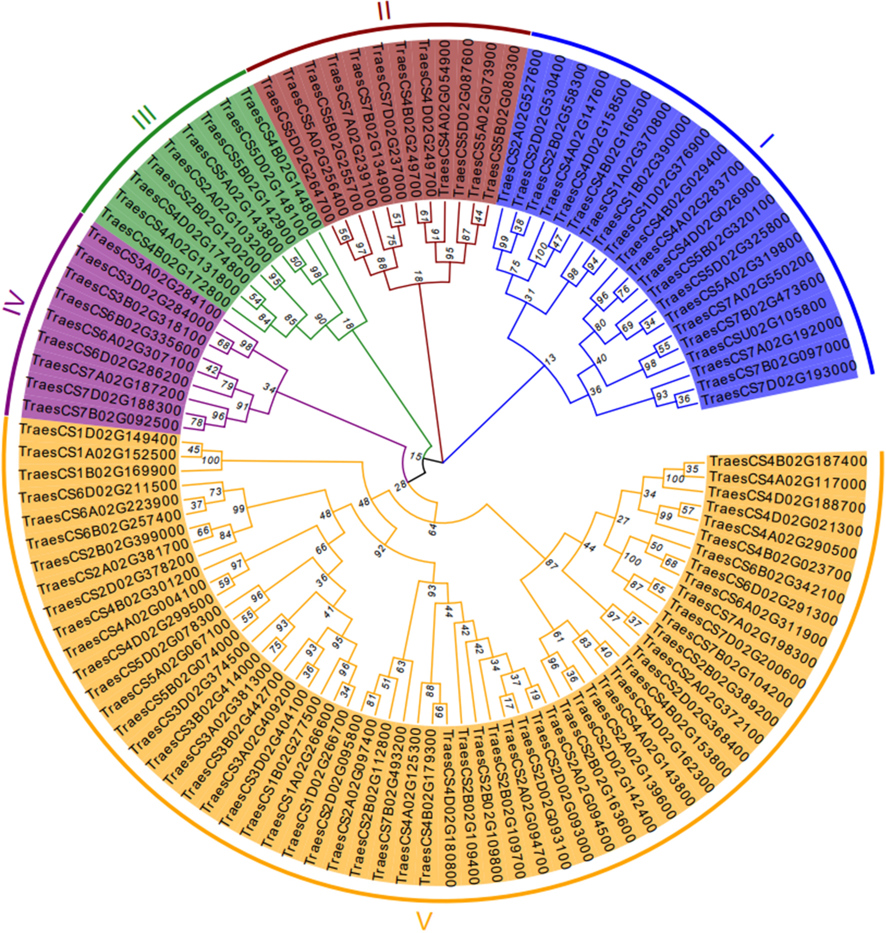 Characters of the MOCA family in wheat and TaMOCA1 function in salt stress tolerance