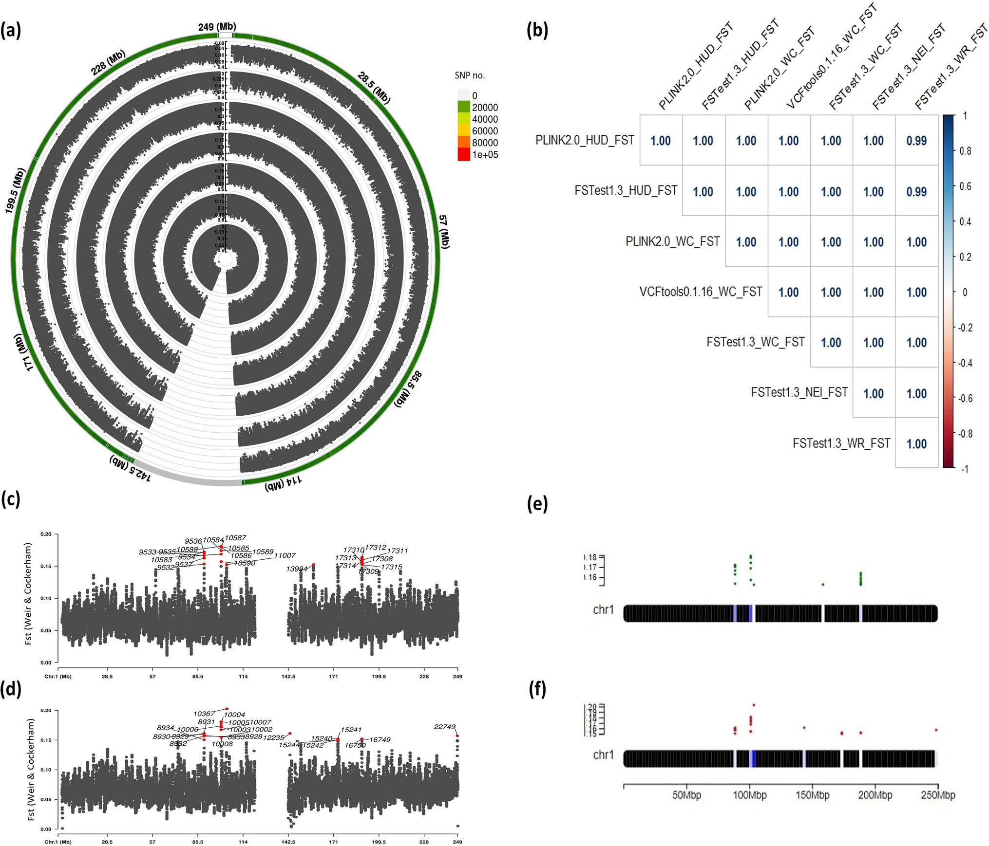 FSTest: an efficient tool for cross-population fixation index estimation on variant call format files