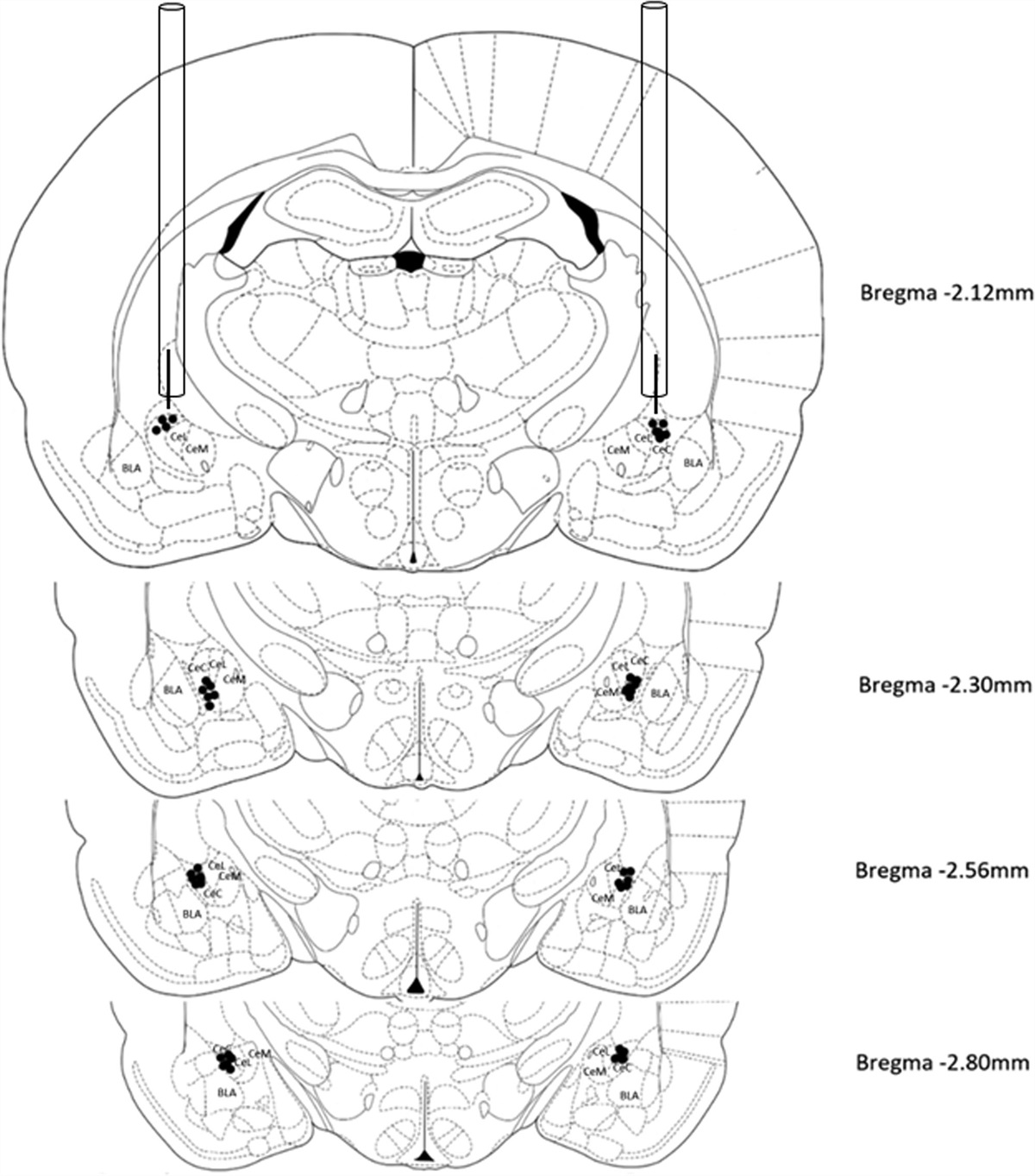 Neuronal nicotinic acetylcholine receptor of the central amygdala modulates the ethanol-induced tolerance to anxiolysis and withdrawal-induced anxiety in male rats