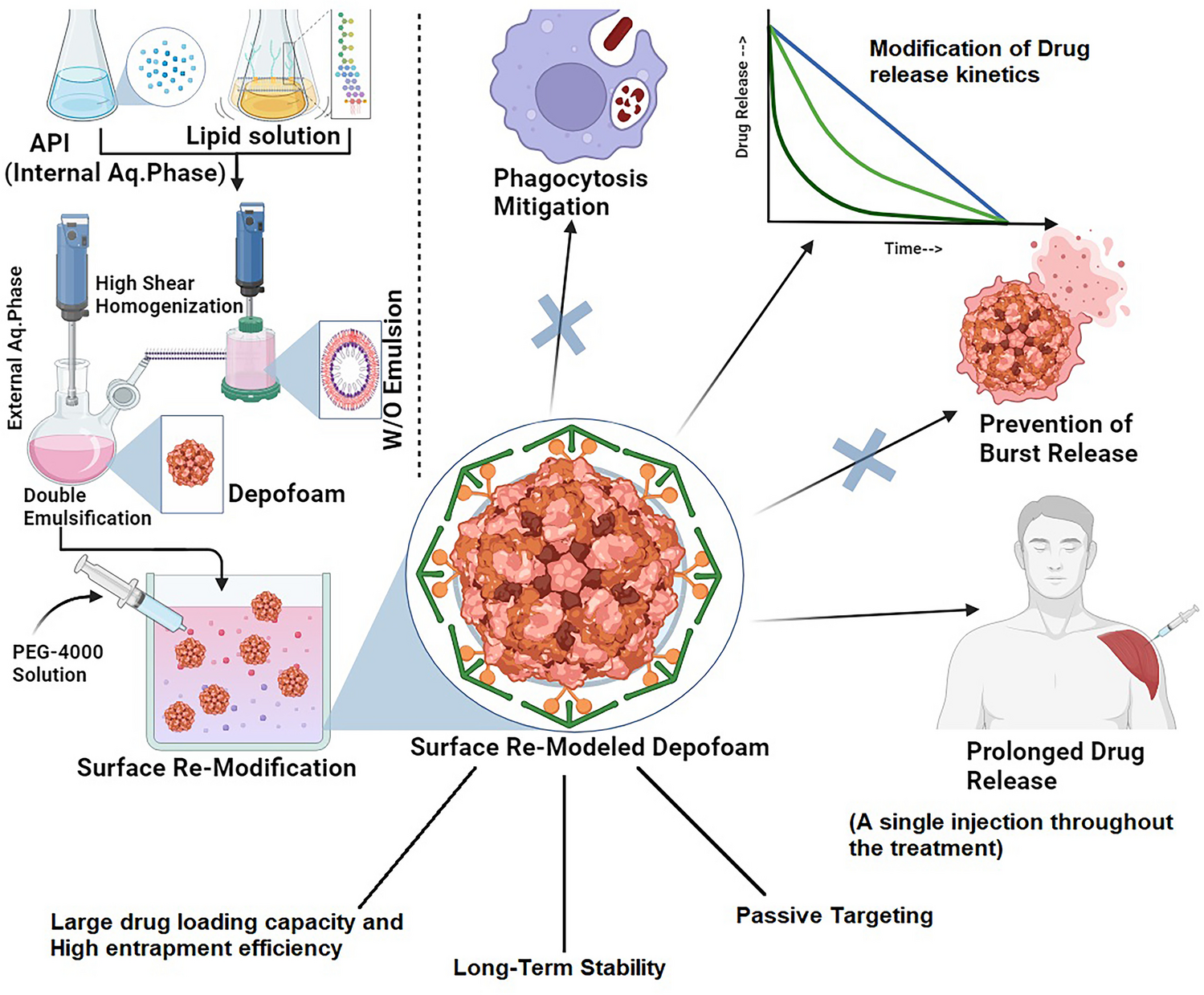 Surface Engineering and Optimizing DepoFoam System: A Robust Quality by Design Approach for Optimal Drug Delivery, Stability, and Quality