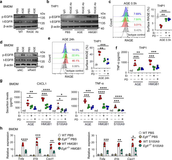 Author Correction: Tissue-resident macrophages exacerbate lung injury after remote sterile damage
