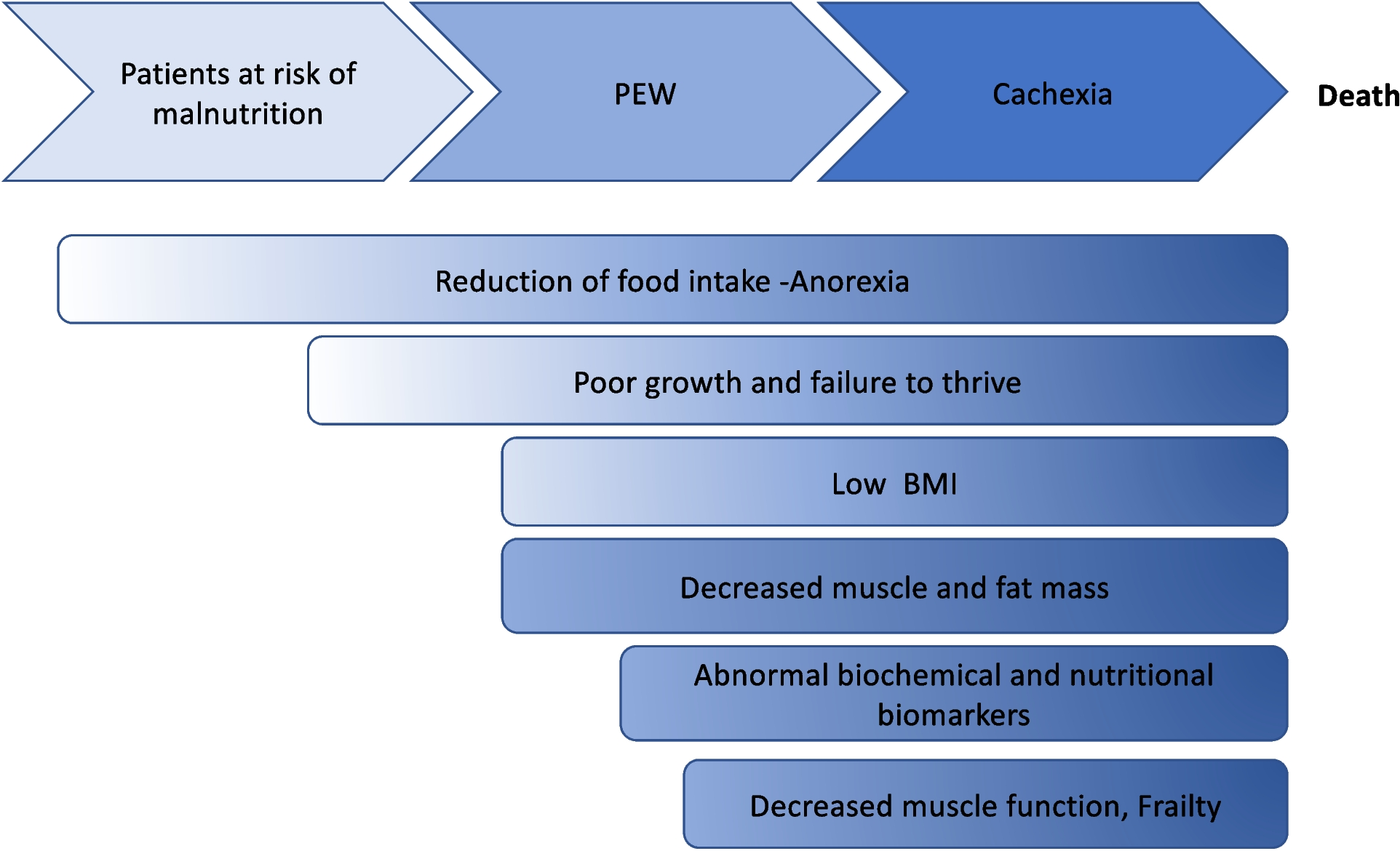Protein energy wasting in children with chronic kidney disease: is lean body mass by DEXA a key diagnostic biomarker?