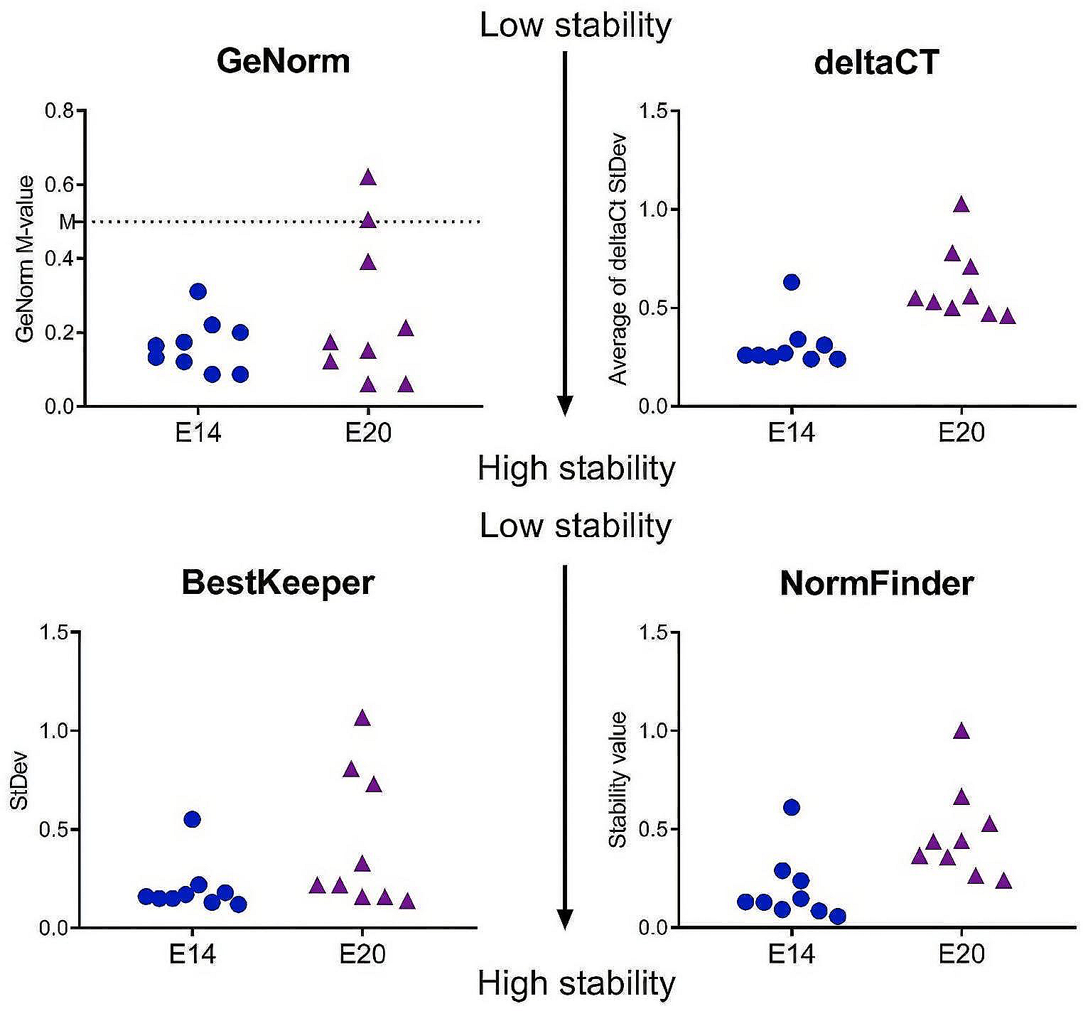 Reference Gene Validation in the Embryonic and Postnatal Brain in the Rat Hyperhomocysteinemia Model