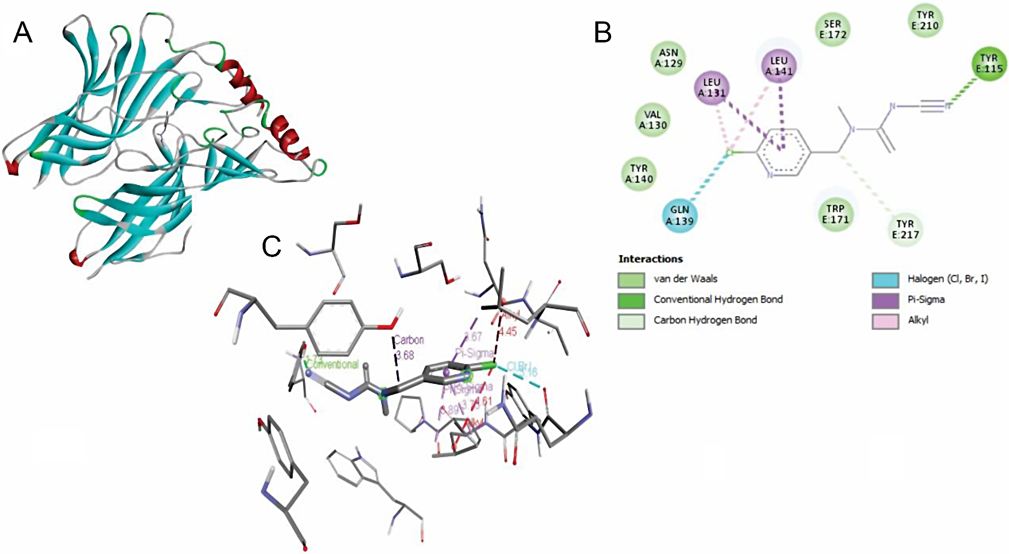 Molecular Docking Analysis at the Human α7-nAChR and Proliferative and Evoked-Calcium Changes in SH-SY5Y Cells by Imidacloprid and Acetamiprid Insecticides
