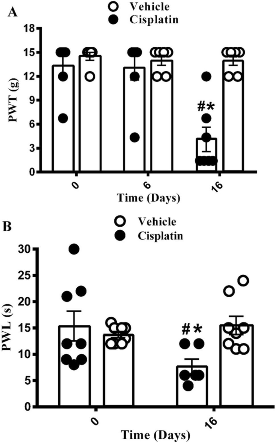 Cisplatin Provokes Peripheral Nociception and Neuronal Features of Therapy-Induced Senescence and Calcium Dysregulation in Rats