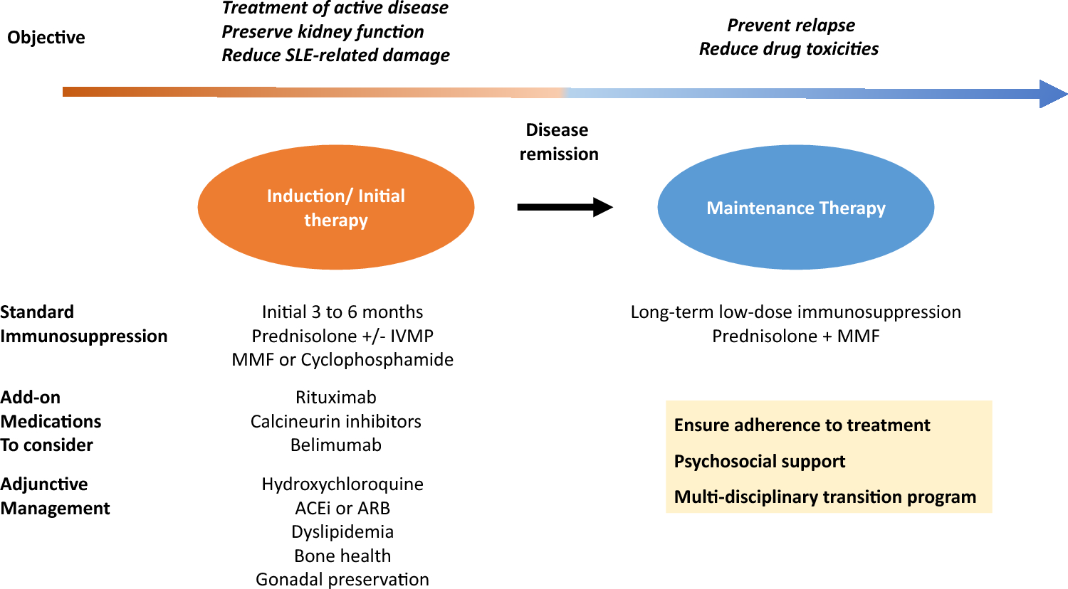 Managing Lupus Nephritis in Children and Adolescents