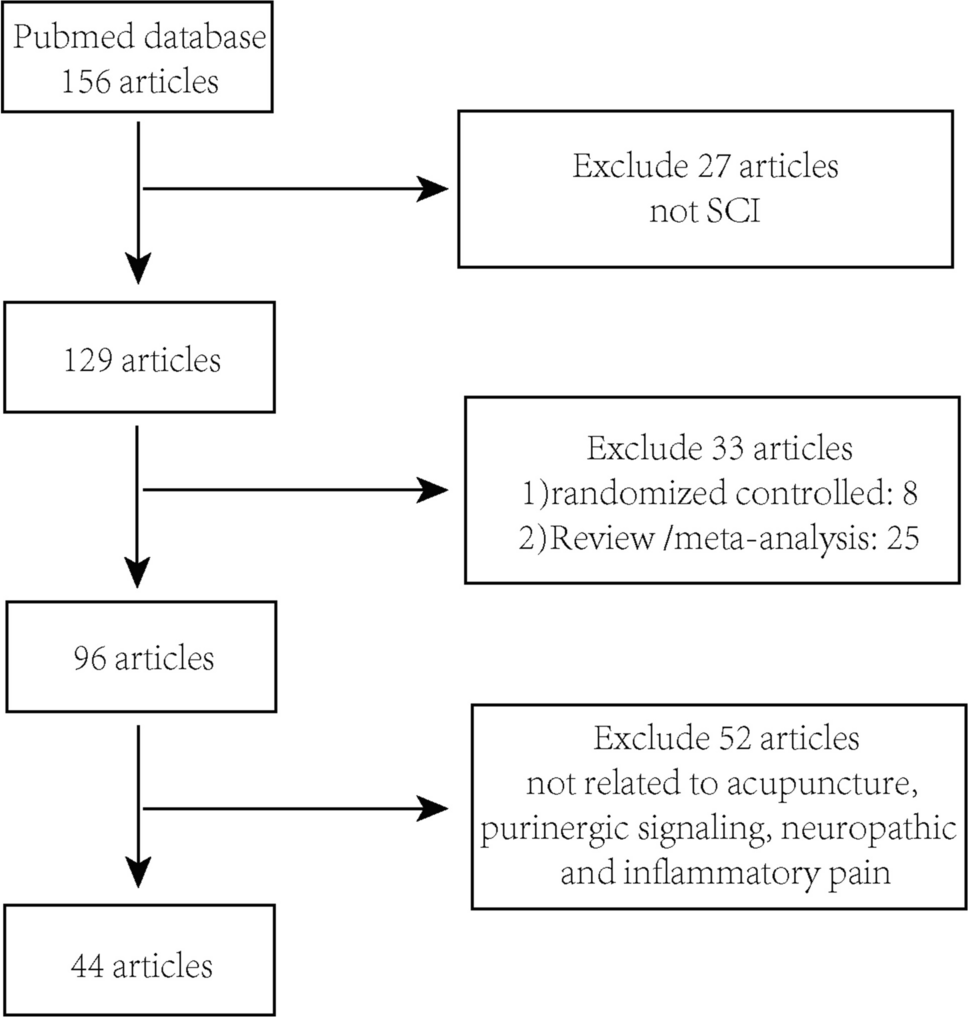 The role of purinergic signaling in acupuncture-mediated relief of neuropathic and inflammatory pain