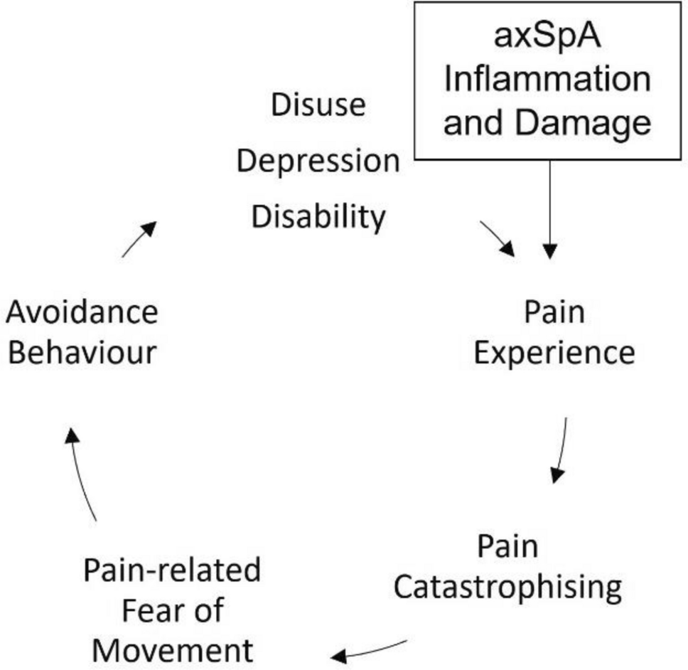 Fear of movement and competence frustration mediate the relationship between pain catastrophising and physical function in people living with axSpA: an online cross-sectional survey