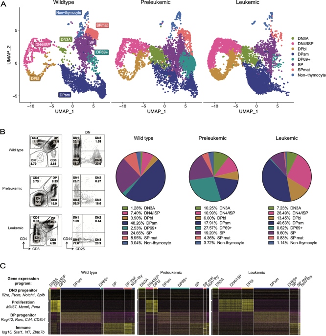 The role of quiescent thymic progenitors in TAL/LMO2-induced T-ALL chemotolerance