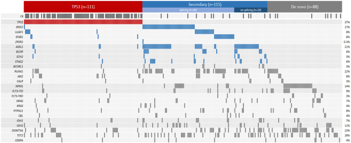 Molecular ontogeny underlies the benefit of adding venetoclax to hypomethylating agents in newly diagnosed AML patients