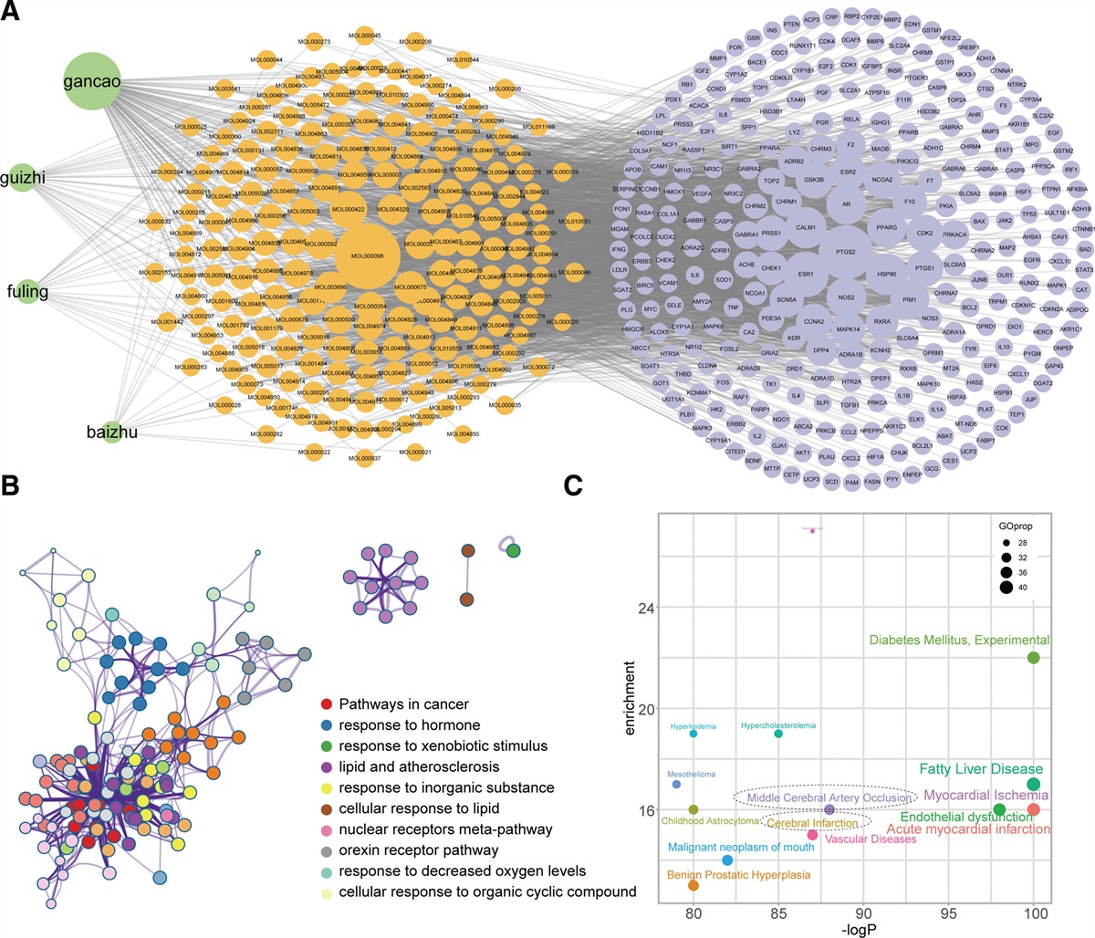 Molecular mechanisms underlying the therapeutic effects of Linggui Zhugan decoction in stroke: Insights from network pharmacology and single-cell transcriptomics analysis