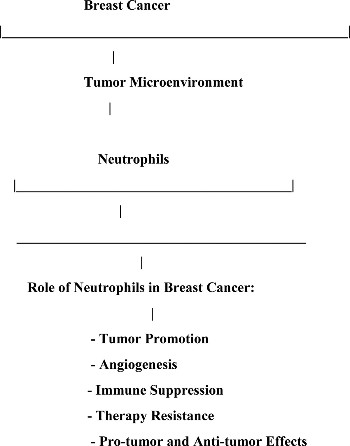 Exploring neutrophil functionality in breast cancer progression: A review