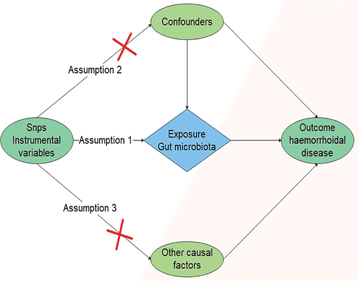 Causal associations between human gut microbiota and hemorrhoidal disease: A two-sample Mendelian randomization study