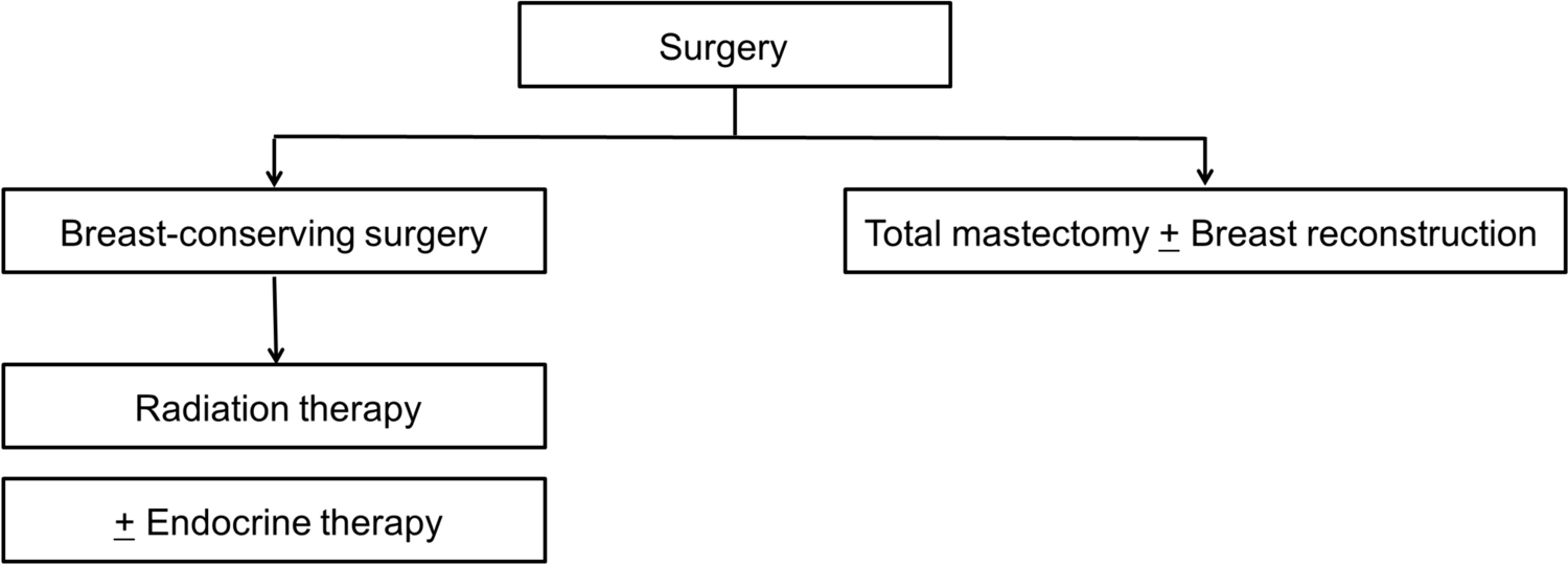 The Japanese Breast Cancer Society Clinical Practice Guidelines for Breast Cancer, 2022 Edition: changes from the 2018 edition and general statements on breast cancer treatment