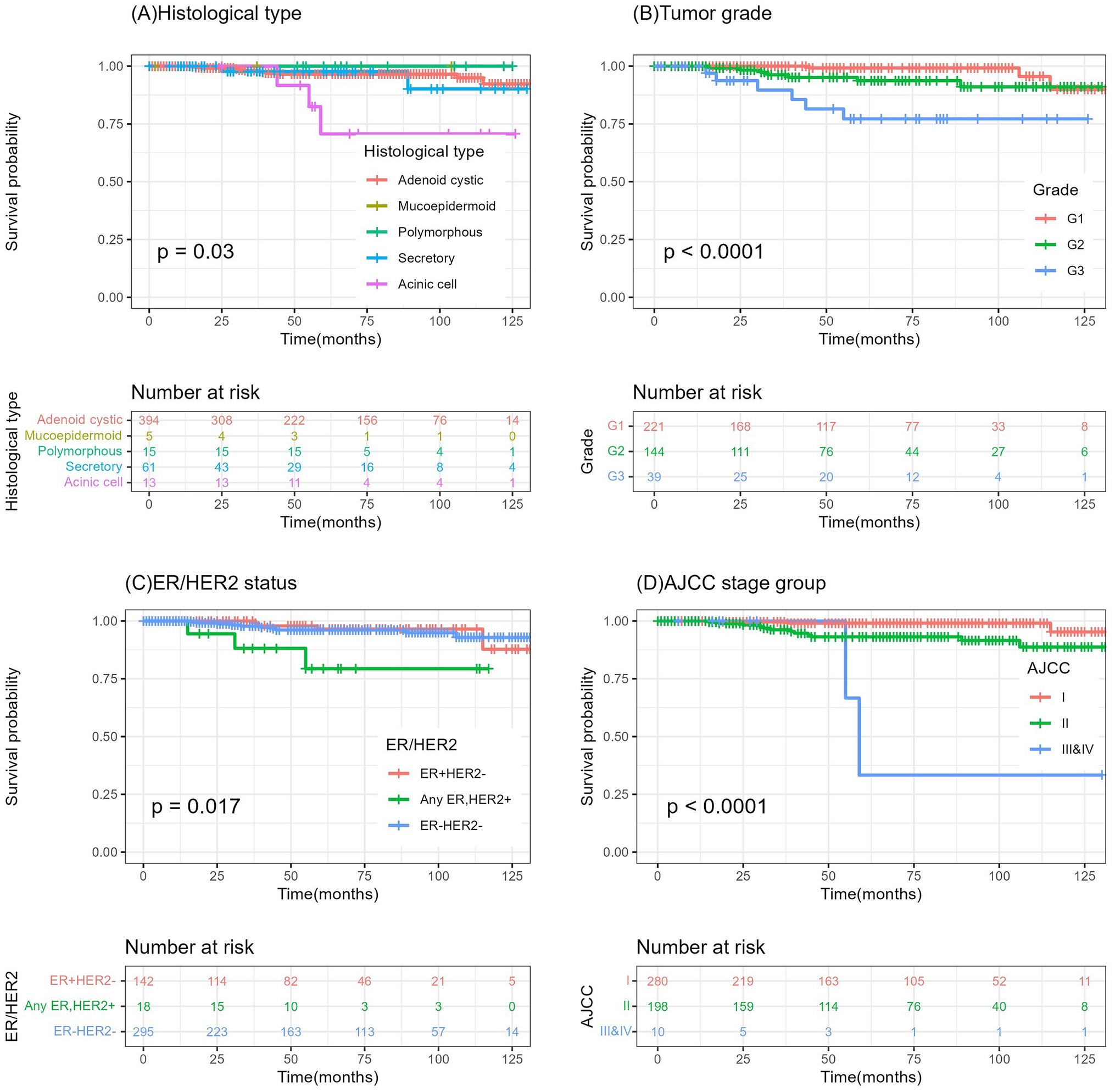 Prognosis of primary breast salivary gland-type carcinoma: a propensity score-matching analysis with invasive carcinoma of no special type based on the SEER database for years 2010–2020