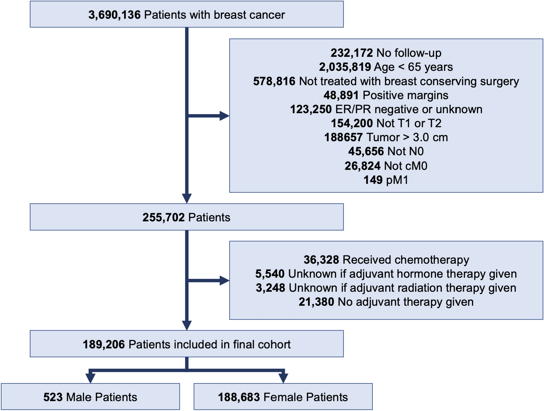 Omission of adjuvant radiotherapy in low-risk elderly males with breast cancer