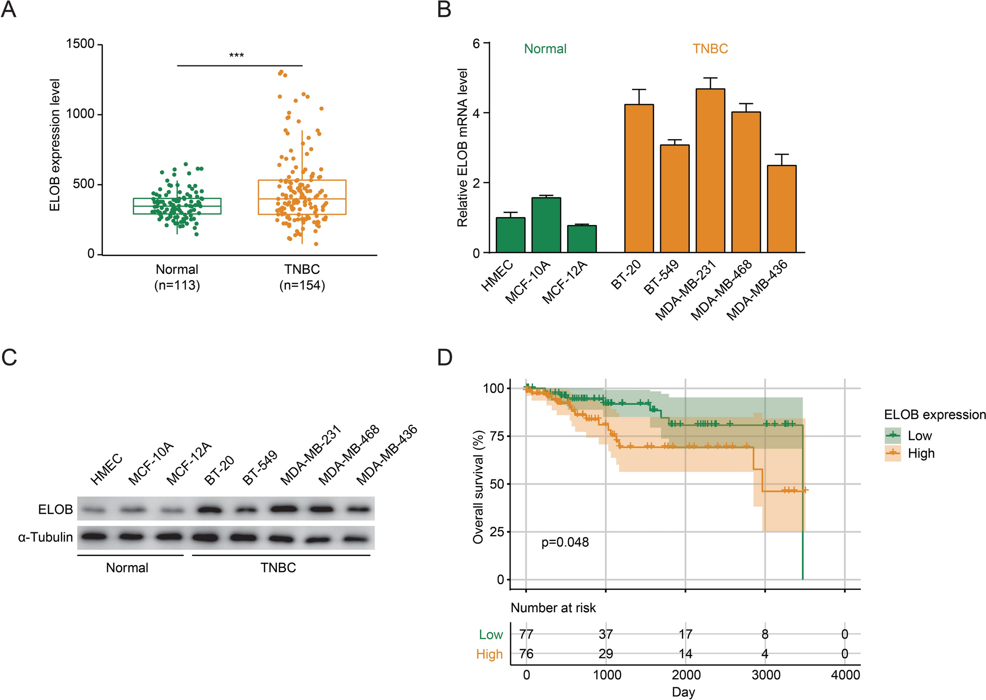 Enhancing radiosensitivity in triple-negative breast cancer through targeting ELOB