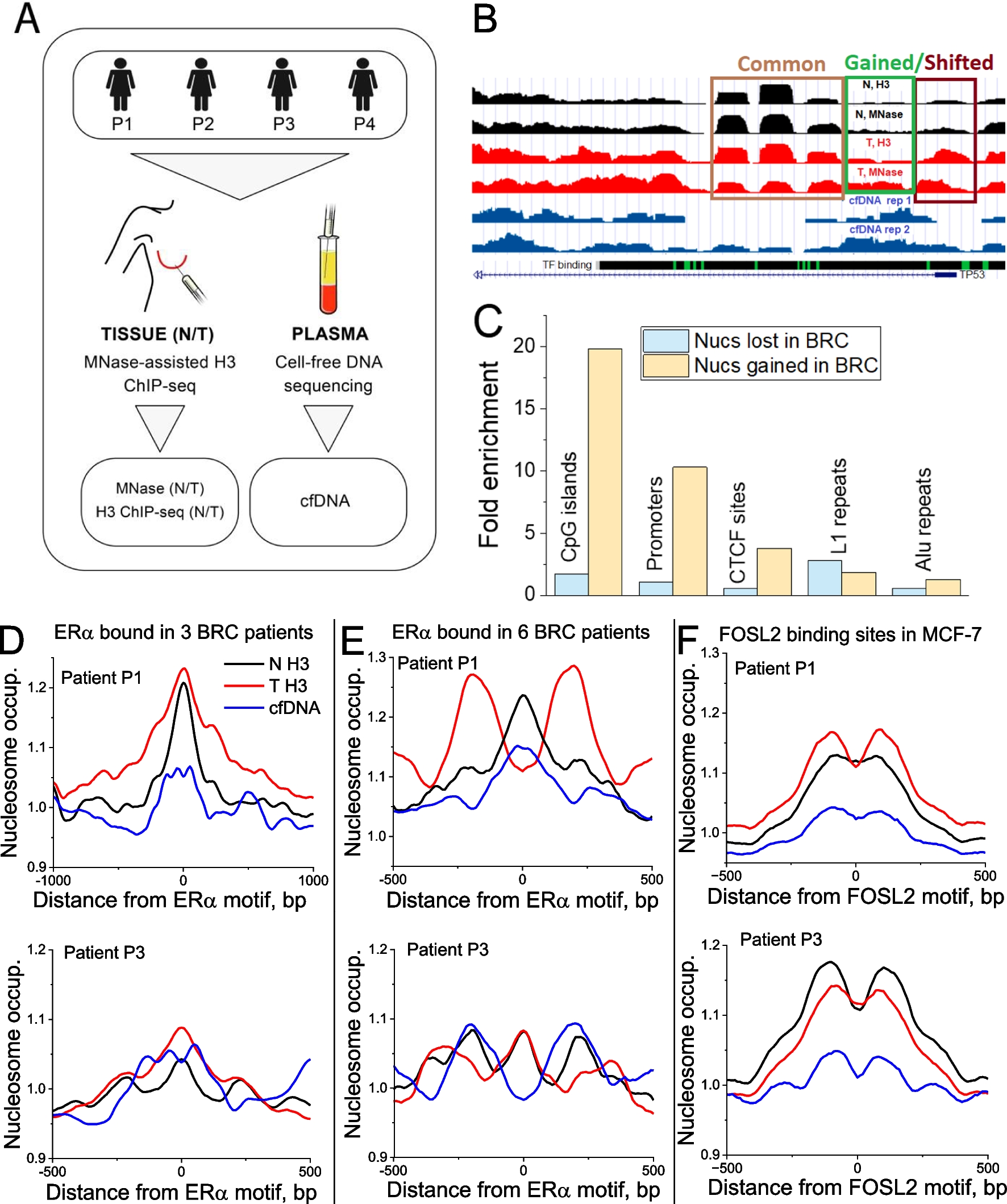 Nucleosome reorganisation in breast cancer tissues