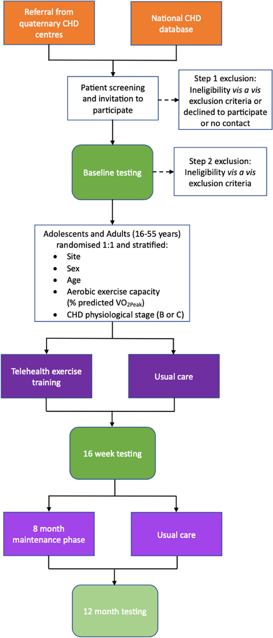 The effects of telerehabilitation in adults with complex biventricular congenital heart conditions: protocol for a multi-centre, randomised controlled trial—CH-FIT